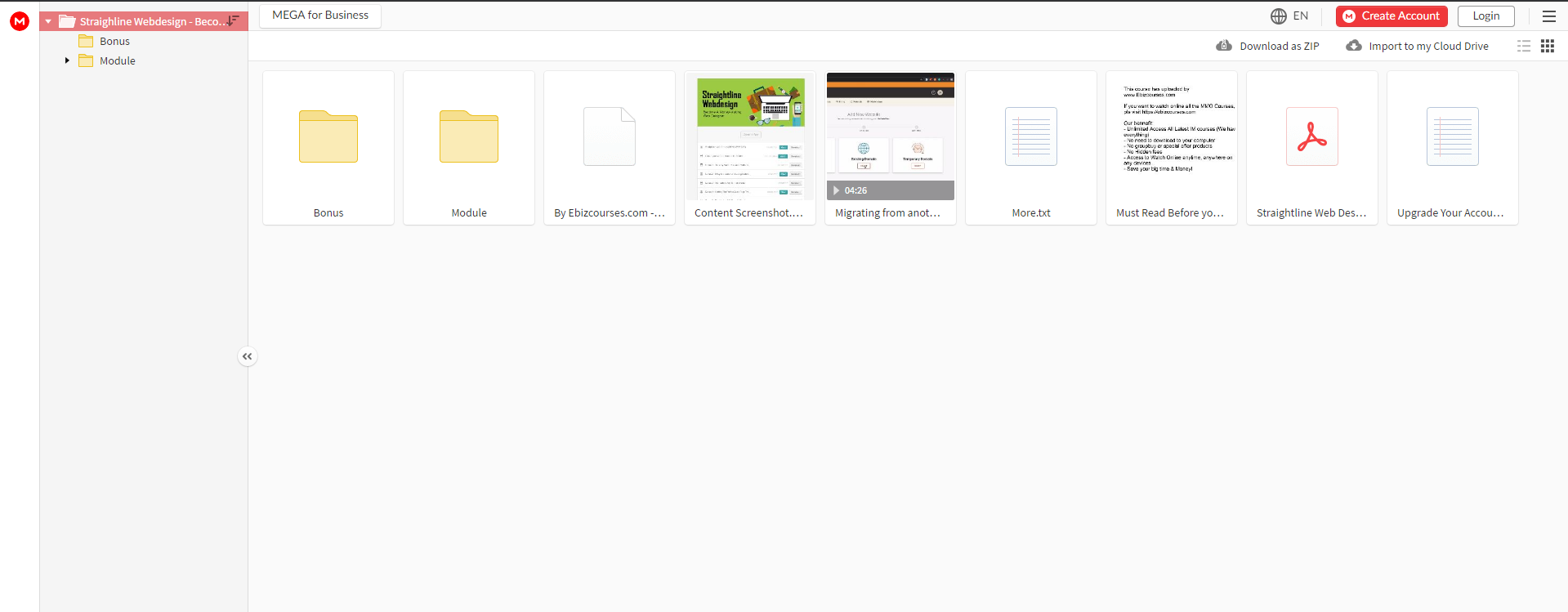 Straightline Webdesign Become A Money - Making Web Designer