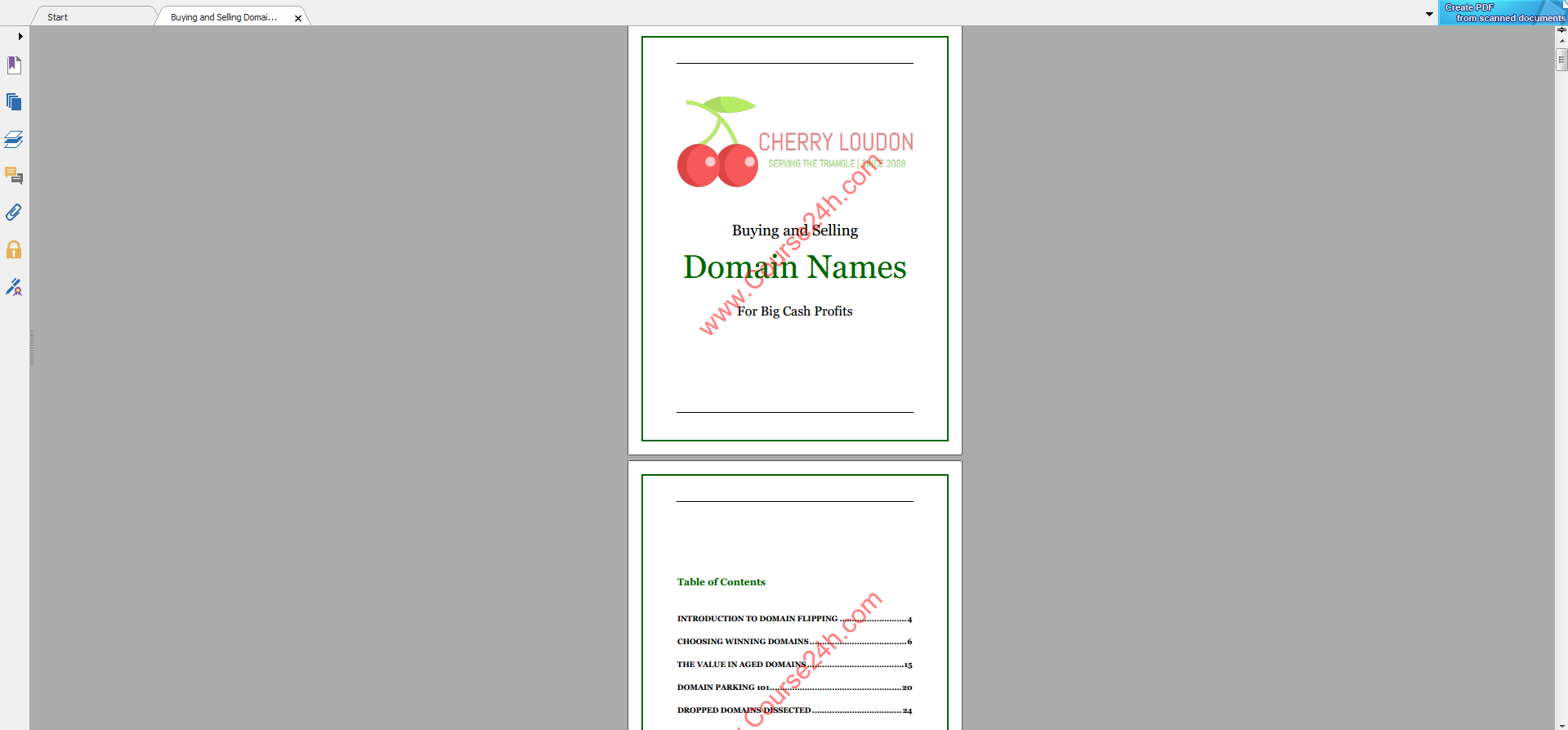 Cherry Loudon - Buying and Selling Domain Names