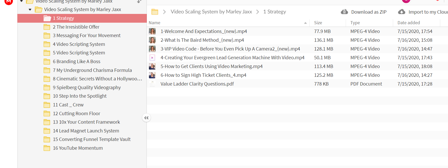 Marley Jaxx - Video Scaling System
