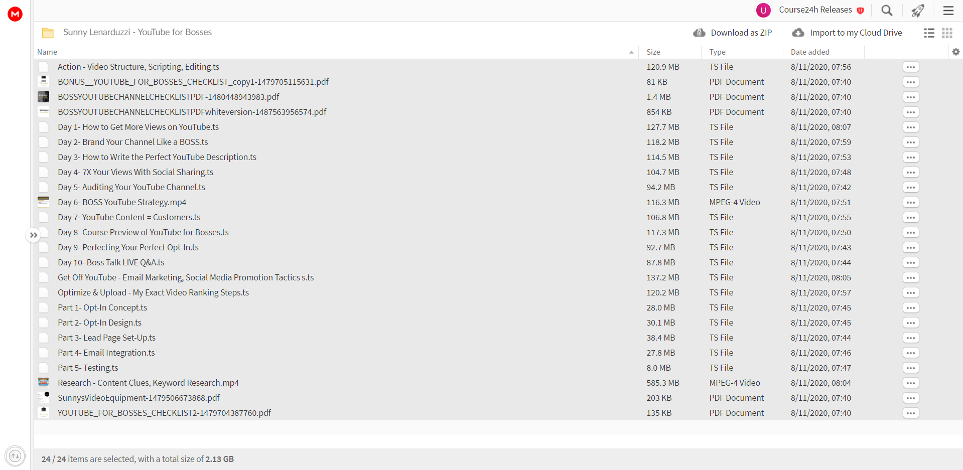 Sunny Lenarduzzi - YouTube for Bosses