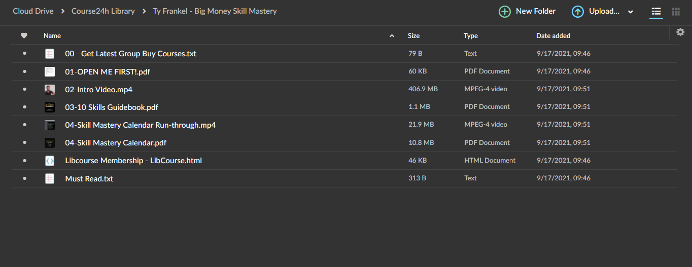 Ty Frankel - Big Money Skill Mastery