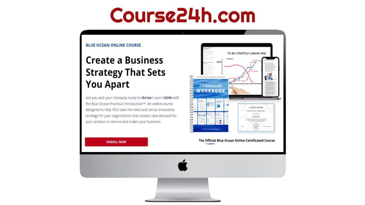 Blue Ocean Practical Introduction™ Online Course