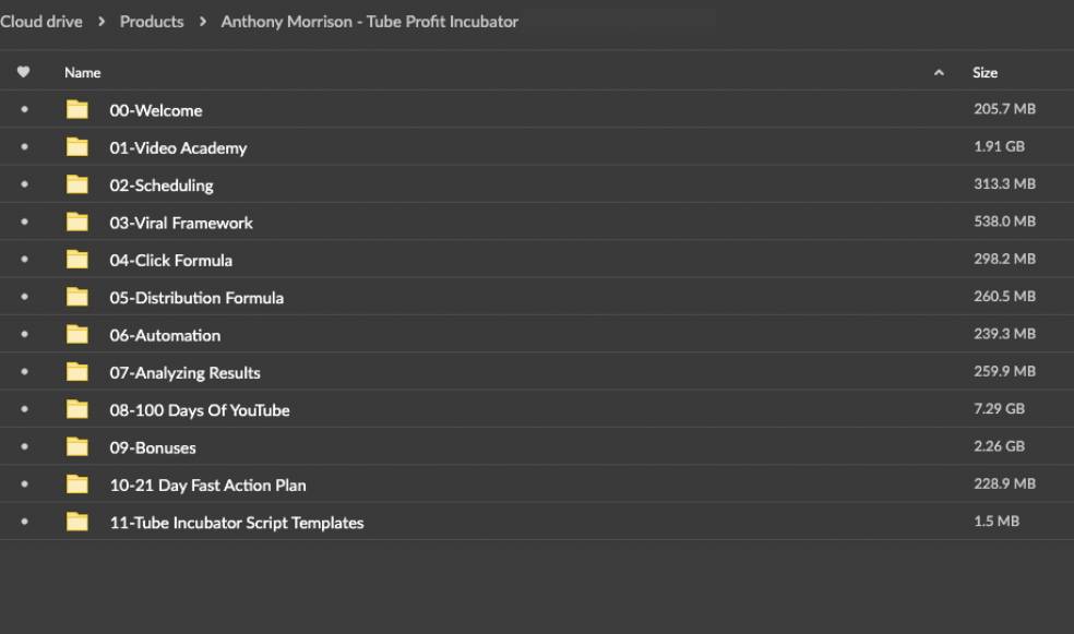 Anthony Morrison – Tube Profit Incubator