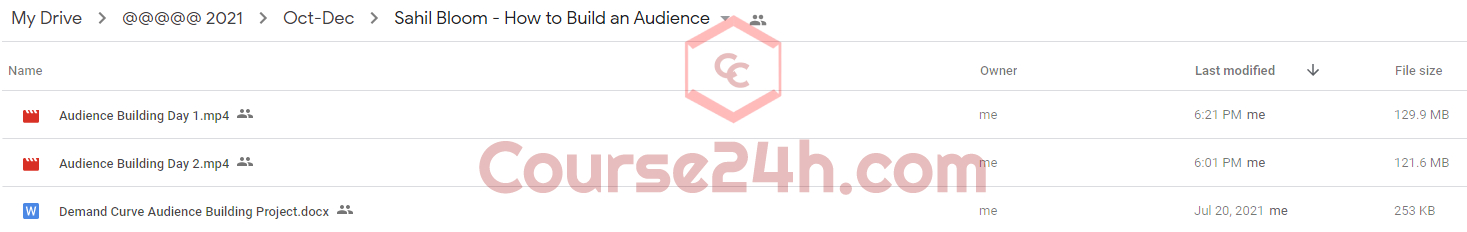 Sahil Bloom - Audience Building 2.0