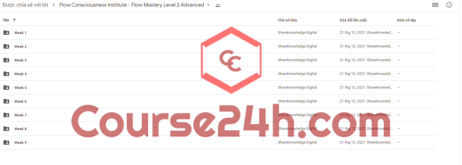 Flow Mastery Level 2 Advanced Training
