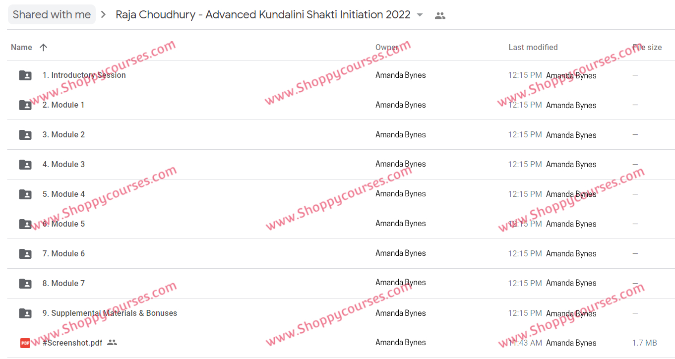 Raja Choudhury – Advanced Kundalini Shakti Initiation 2022