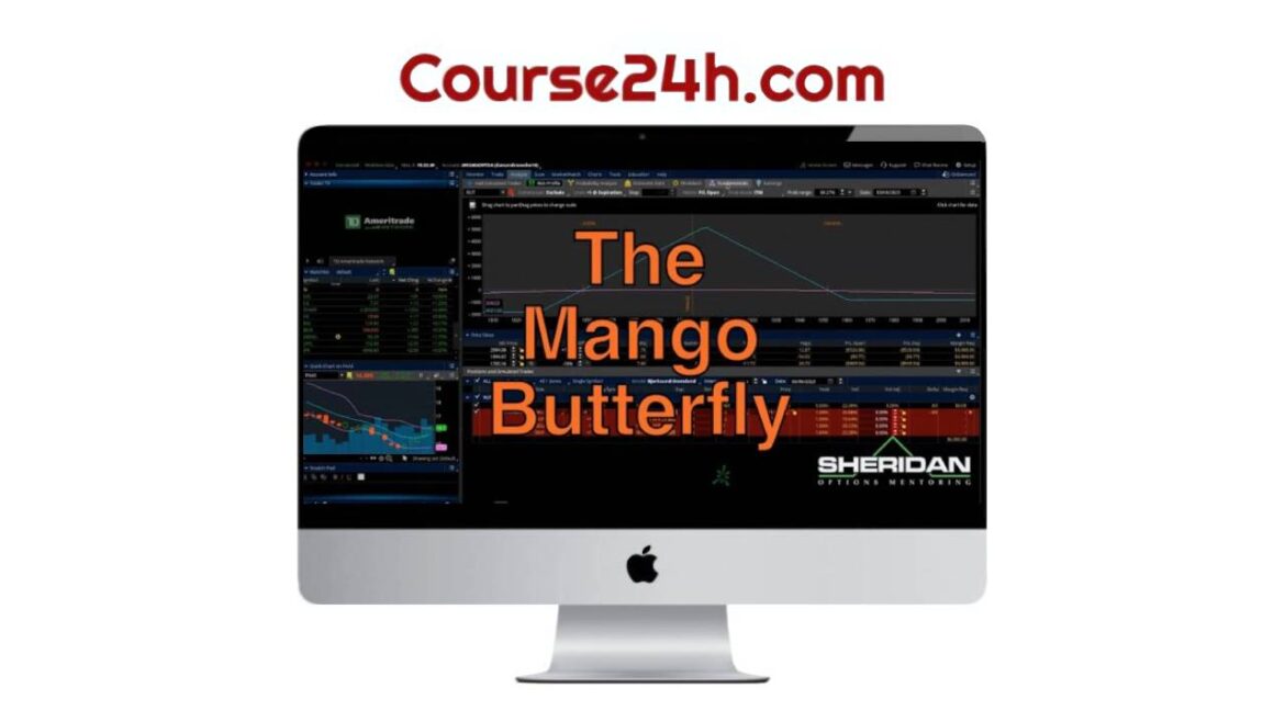 Jay Bailey - The Mango Butterfly Deep Dive 2023