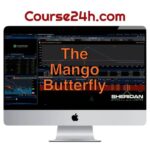 Jay Bailey – The Mango Butterfly Deep Dive 2023