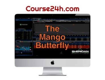 Jay Bailey - The Mango Butterfly Deep Dive 2023