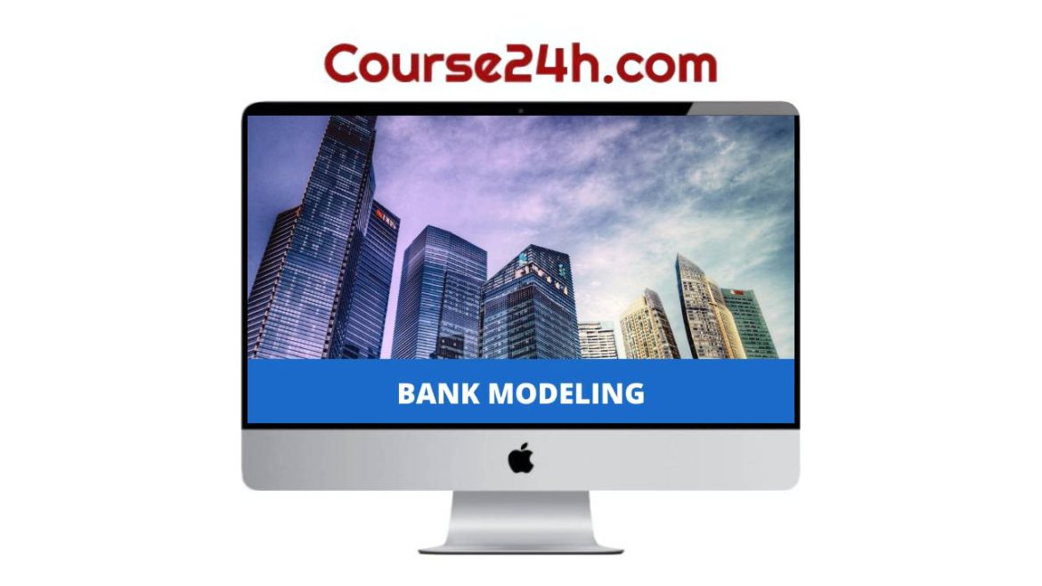 Breaking Into Wall Street - BIWS Bank & Financial Institution Modeling