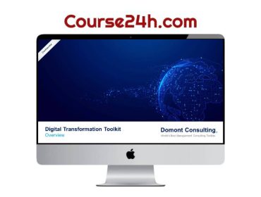Domont Consulting - Digital Transformation Toolkit