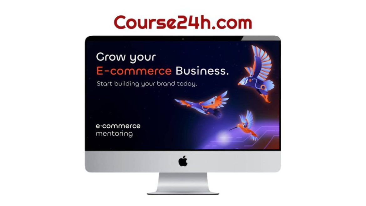 E-commerce Mentoring – E-commerce Wayfinder