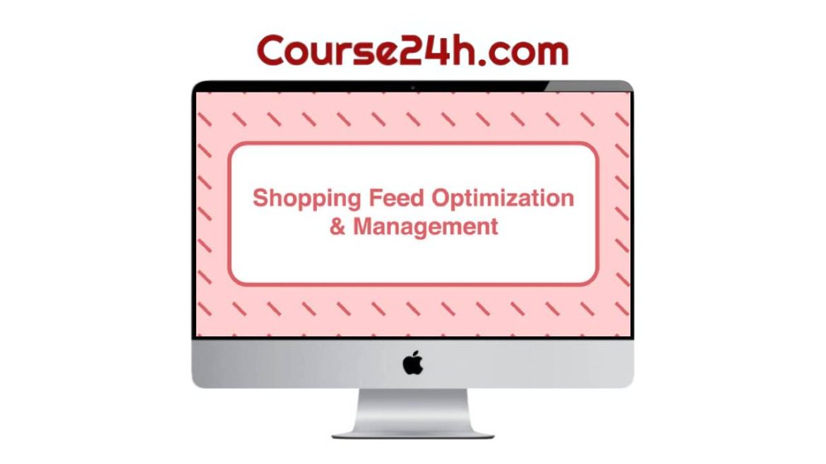 Take Some Risk – Shopping Feed Optimization and Management