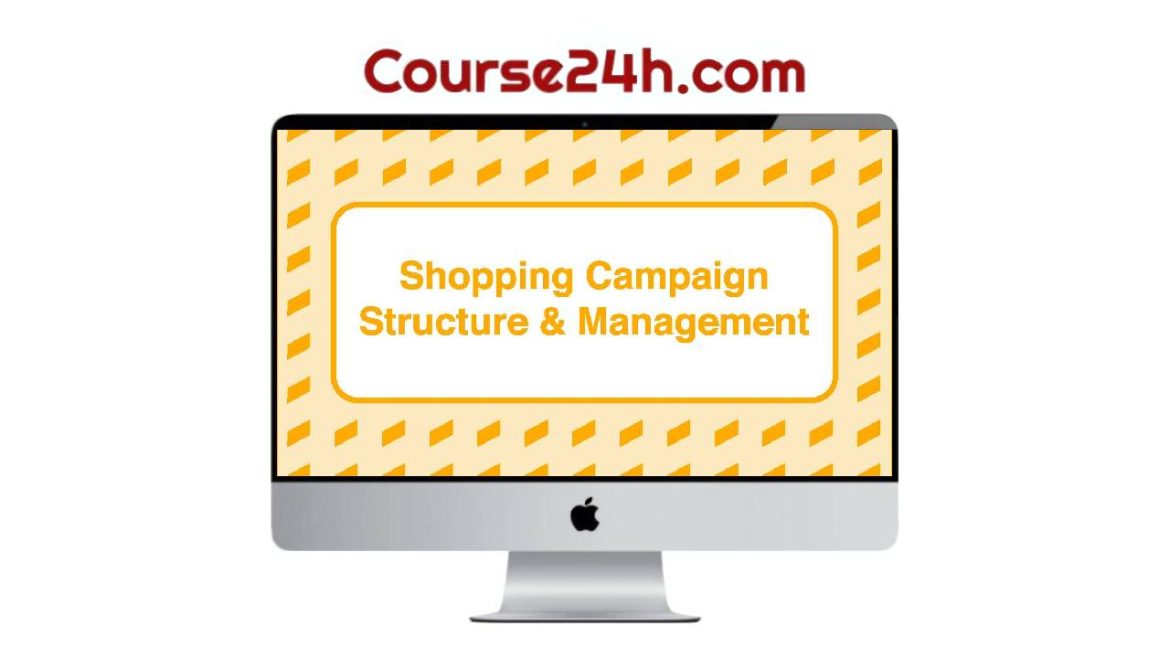 Take Some Risk – Shopping Campaign Structure and Management