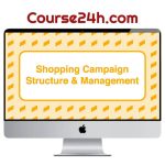 Take Some Risk – Shopping Campaign Structure and Management