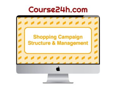 Take Some Risk – Shopping Campaign Structure and Management