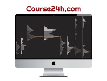 Price Action Volume Trader – Trading with Market and Volume Profile