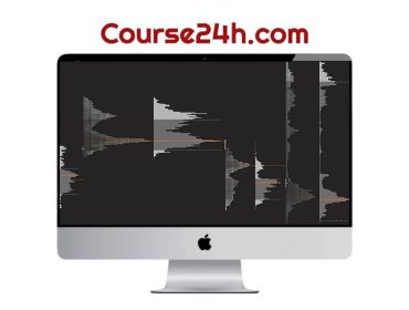 Price Action Volume Trader - Trading with Market and Volume Profile