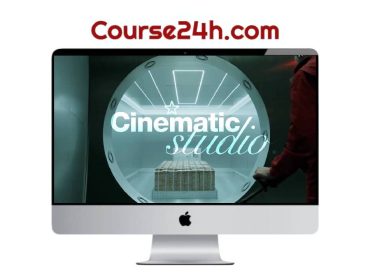 Elevenstoic - Build a Viral Brand That Grows, Sells & Looks Cinematic.