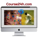 Ohneis – AI Visual Mastery – Complete Studio Suite Course
