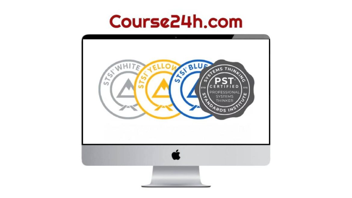 Systems Thinking Standards Institute – Blue Belt-PST