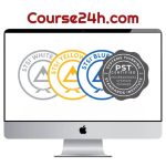 Systems Thinking Standards Institute – Blue Belt-PST