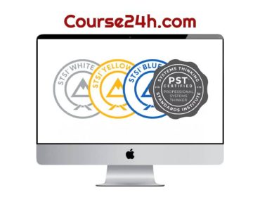 Systems Thinking Standards Institute – Blue Belt-PST