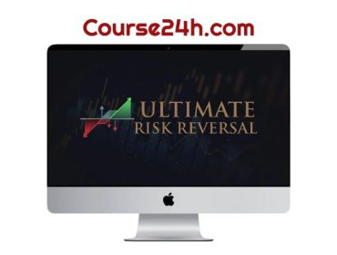 Sean Allison – Risk Reversal program